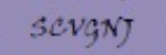 Security captcha